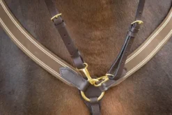 Collier de chasse élastique avec martingale noir / marine HFI