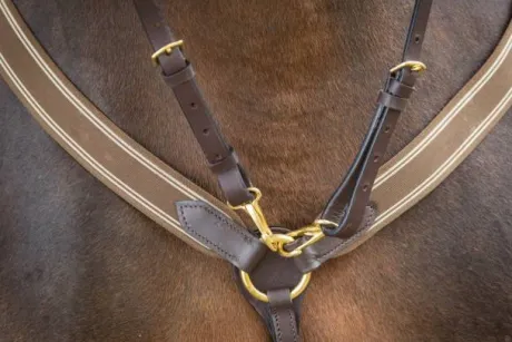 Collier de chasse élastique avec martingale noir / marine HFI