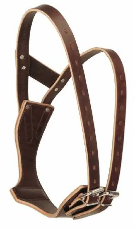 Collier miracle collar - Cuir traité