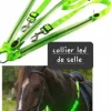 Collier NEUF harnais plastron led fluo