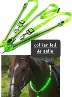 Collier NEUF harnais plastron led fluo