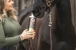 Complément alimentaire liquide sirop Elixir Bronches - LEOVET