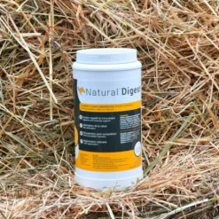 Complément alimentaire Prébiotique Natural'Digest - Natural'Innov