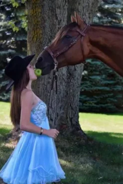 Convertisseur de bride de muserolle sans mors Thinline