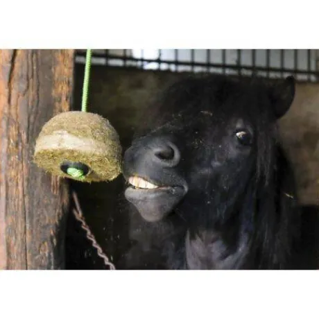 Corde pour bloc de foin Hippo-Tonic