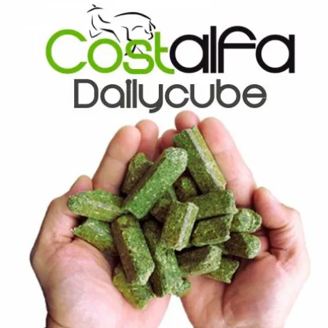 Costalfa Dailycube 25kg