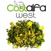Costalfa West 25kg