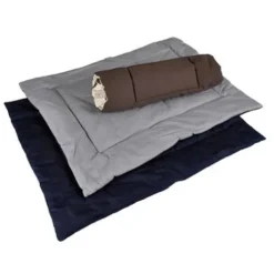 Cotons Américains TdeT