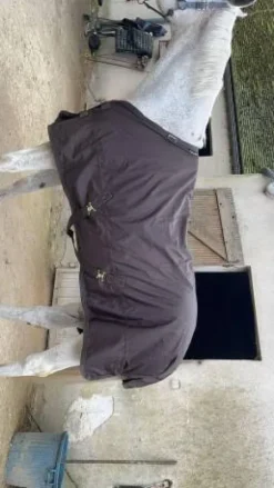 Coucouverture kentucky