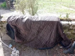 Coucouverture kentucky