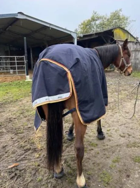 Couverture amigo bleu nuit taille 145 250gr