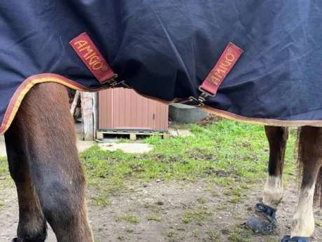 Couverture amigo bleu nuit taille 145 250gr