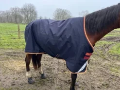 Couverture amigo bleu nuit taille 145 250gr