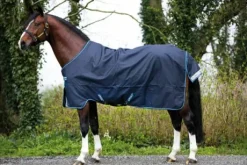 Couverture Amigo Bravo 12 Lite - Horseware - 1200D imperméable