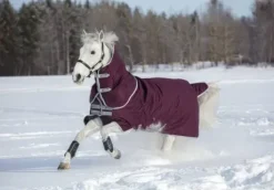 Couverture Amigo Hero ripstop plus 200g - Horseware - Imperméable