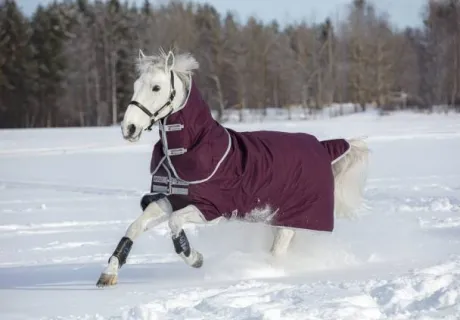 Couverture Amigo Hero ripstop plus 200g - Horseware - Imperméable