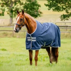 Couverture AMIGO Ripstop 900D Turnout 200g - Horseware - Confort et protection