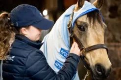 Couverture anti-insectes Amigo Pony Ripstop Hoody - Horseware - Tissu Ripstop 60