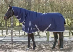Couverture combo 200gr imperméable - Harry's Horse
