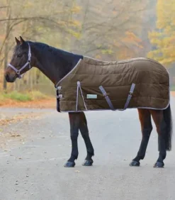 Couverture d'écurie Economic 200G - Waldhausen