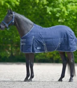 Couverture d'écurie Economic 200G - Waldhausen