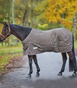 Couverture d'écurie Economic 100G - Waldhausen