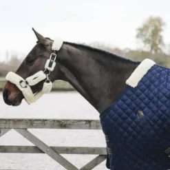 Couverture d'écurie 400gr - Kentucky