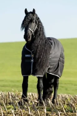 Couverture d'écurie Rambo Stable 200g - Horseware - extérieur en 1000d ripstop