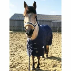 Couverture de box 850 deniers et 200gr Bleu - JMR