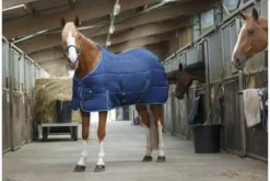 Couverture de box 300 gr - Riding World