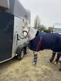 Couverture de box Pénélope poney