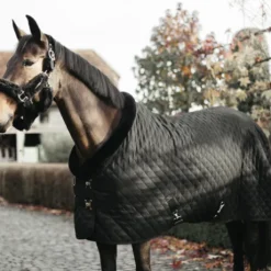 Couverture de présentation 160 g - Kentucky