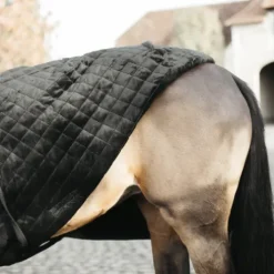 Couverture de présentation 160 g - Kentucky