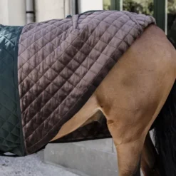 Couverture de présentation 160 g - Kentucky