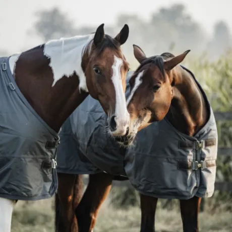 Couverture d'extérieur All Weather imperméable pro 160g - Kentucky