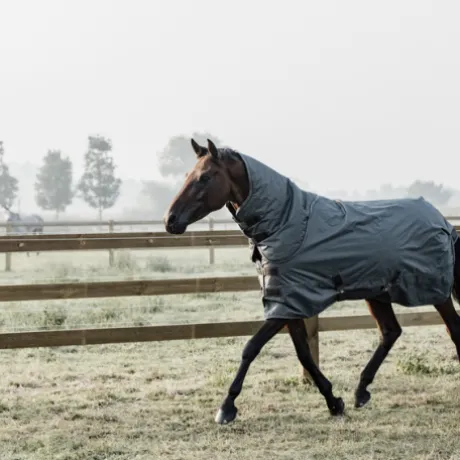 Couverture d'extérieur All Weather imperméable pro 160g - Kentucky