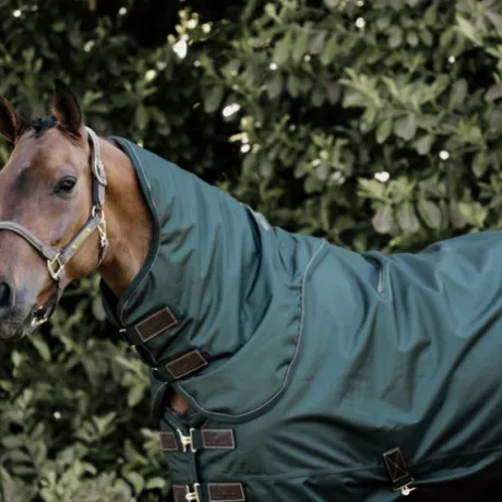 Couverture d'extérieur All Weather imperméable pro 160g - Kentucky