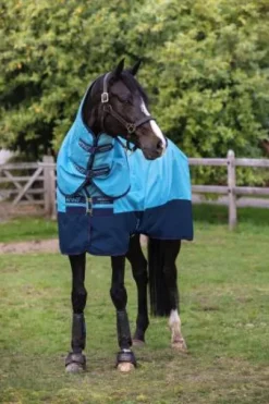 Couverture d'extérieur Amigo Hero ripstop plus 100g - Horseware