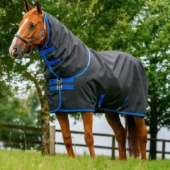 Couverture d’Extérieur Amigo® Ripstop 900D Plus 0g avec Couvre-cou - Horseware