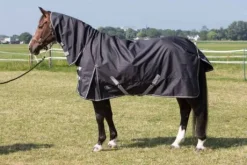Couverture d'extérieur imperméable cou Thor 0gr - Harry's horse