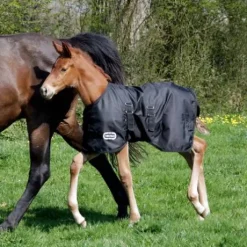 Couverture extérieur poulain 1680D