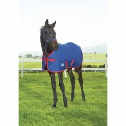 Couverture Foal extérieur Hippomat