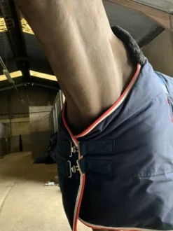 Couverture Pénélope