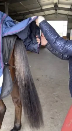 Couverture Rambo Optimo imperméable 400g