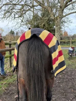 Couvre Reins Horsewear 130