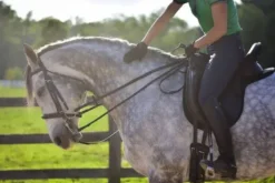 Couvre-siège selle de dressage Thinline