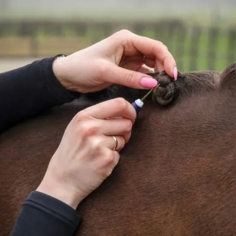 Découseur à pions - QHP - Manche caoutchouc
