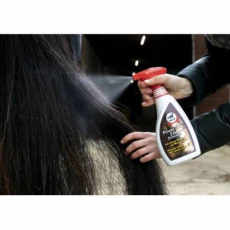 Demelant Leovet Power Noix 550mL