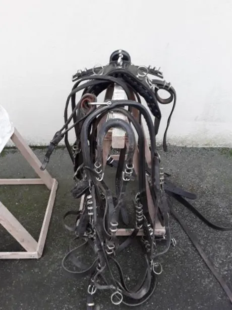 Diverses Calèches et Harnais