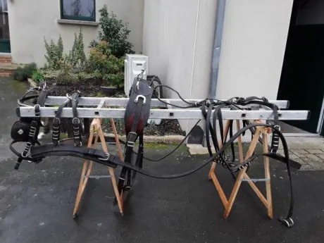 Diverses Calèches et Harnais
